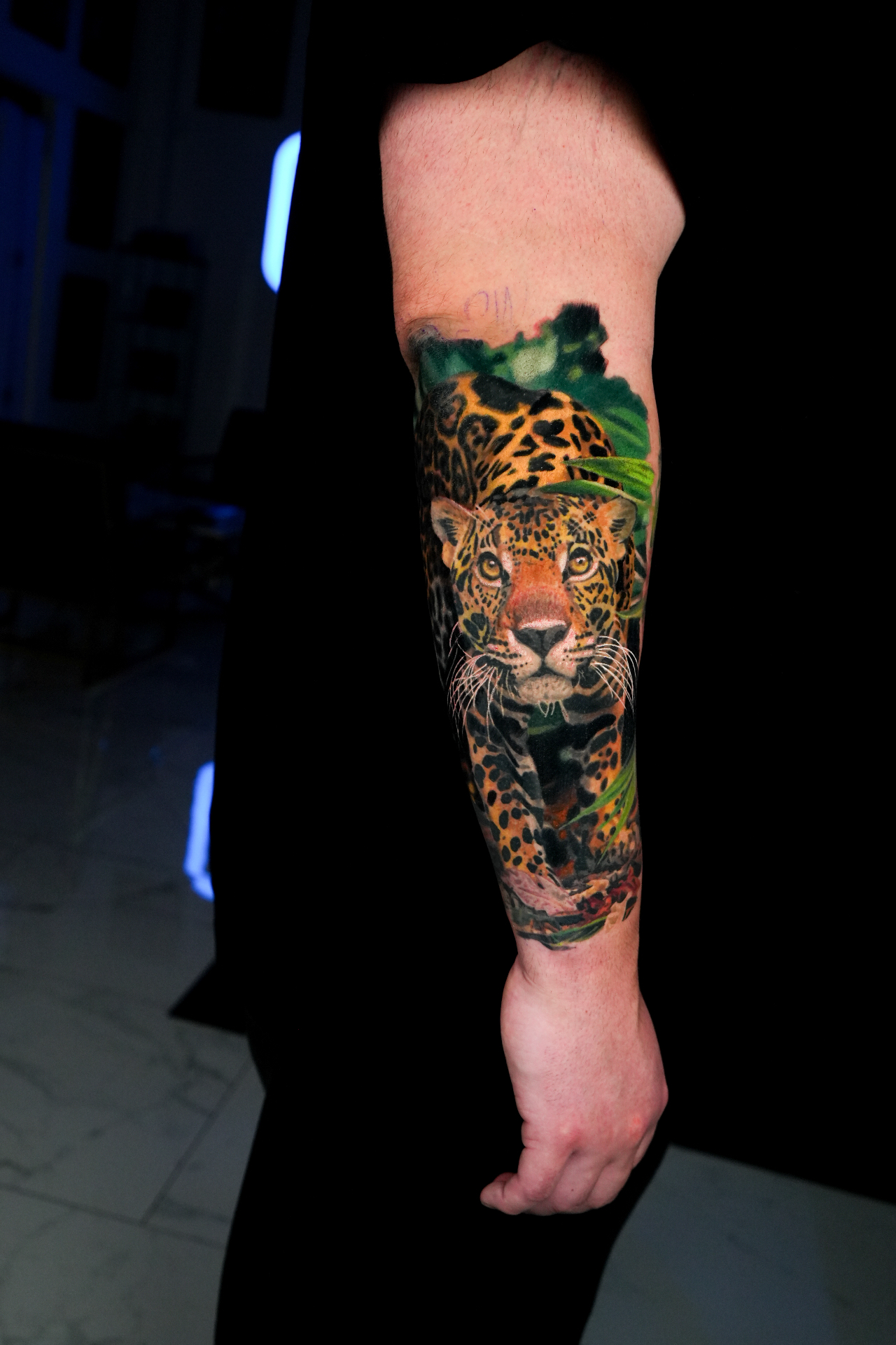 Colour realism forearm of a jaguar prowling through green jungle foliage